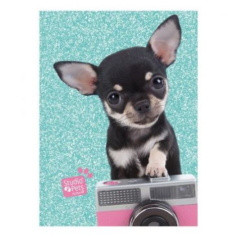 Pamiętnik brokatowy Paso A6/80 Studio Pets Pies Błękitny